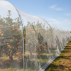 Rede de insetos de malha HDPE 40 para vegetais com efeito de estufa